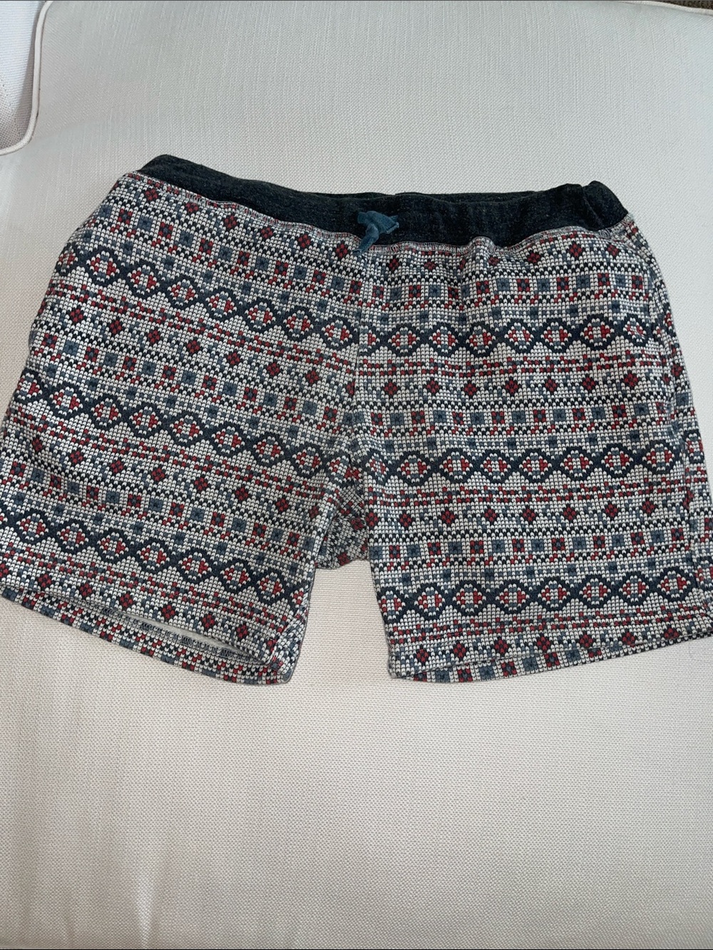 CHUBBIES soft sweatpants style shorts